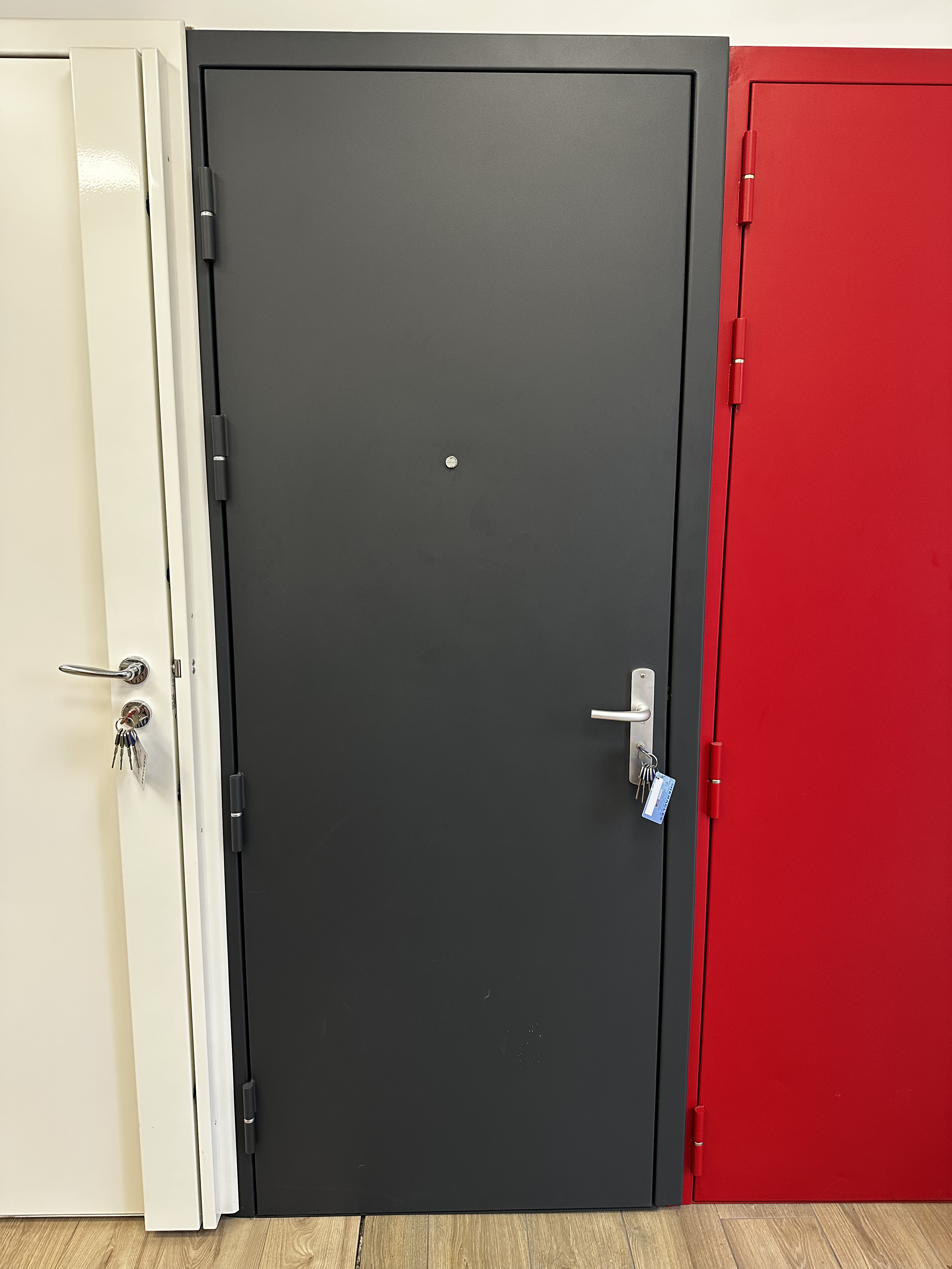 Blindage de porte grise
